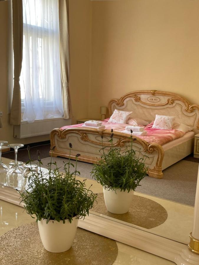 Apartmany Vila Tyniste Tyniste nad Orlici Eksteriør billede